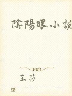 阴阳眼小说