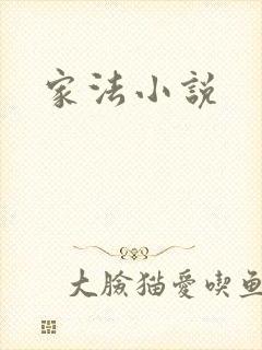 家法小说