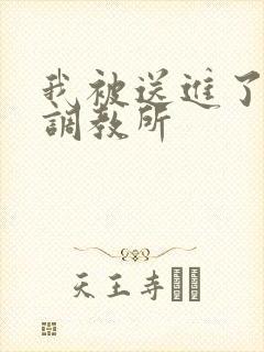 我被送进了私奴调教所