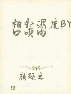 相对湿度BY大口吃肉