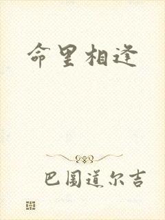 命里相逢封面
