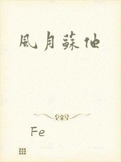 风月苏他封面