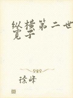 纵横第二世界 宽子