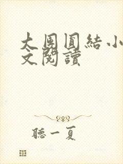 大团圆结小茹全文阅读