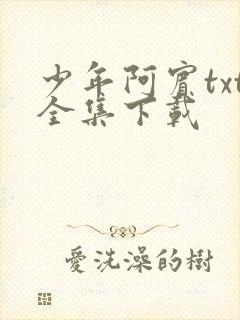 少年阿宾txt全集下载封面