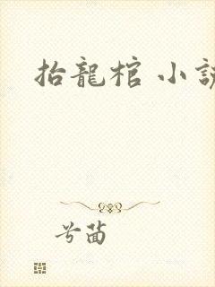 抬龙棺 小说封面