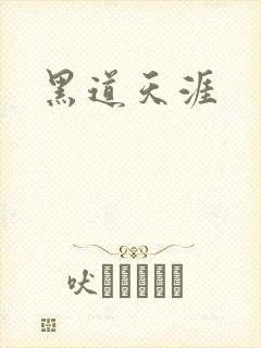 黑道天涯封面