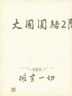 大团圆结2阅读封面