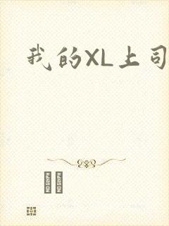 我的XL上司