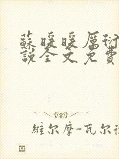 苏暖暖厉衍琛小说全文免费阅读