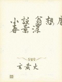 小说 翁想房中春意浓