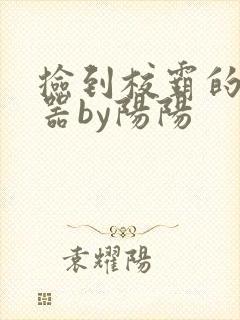 捡到校霸的遥控器by阳阳