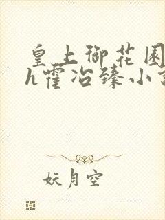 皇上御花园hlh霍冶臻小说