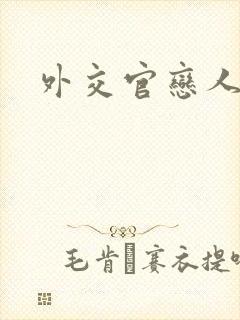 外交官恋人小说封面