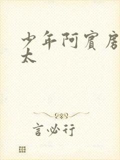 少年阿宾房东太太