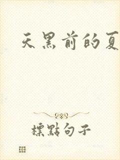 天黑前的夏天