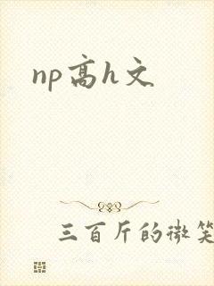 np高h文封面