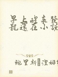 早上醒来发现巨龙还在小说封面