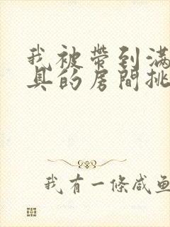 我被带到满是玩具的房间挑调游戏封面