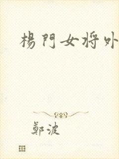 杨门女将外传