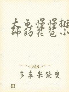 大龟慢慢挺进老师的花苞小说