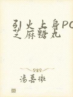 引火上身POP芝麻糖丸封面