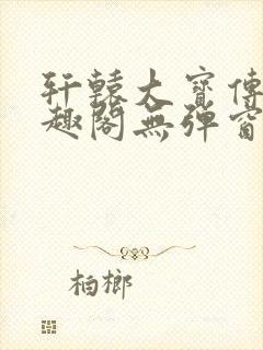 轩辕大宝传奇笔趣阁无弹窗