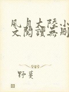 风月大陆小说全文阅读无删减封面