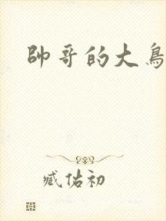 帅哥的大鸟封面