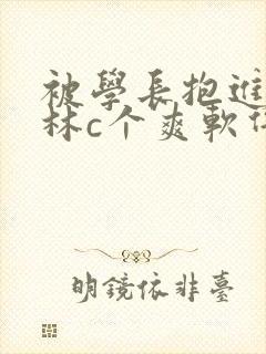 被学长抱进小树林c个爽软件