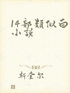 14部类似白洁小说封面