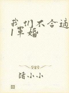 我们不合适1v1军婚