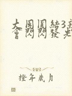 大团圆结3亲情会闪闪发光封面