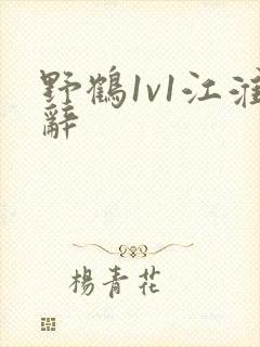 野鹤1v1江淮辞封面