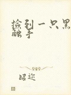 捡到一只黑心小触手