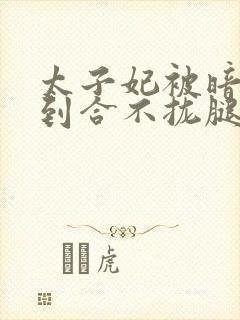 太子妃被暗卫C到合不拢腿