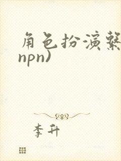 角色扮演系统(npn)