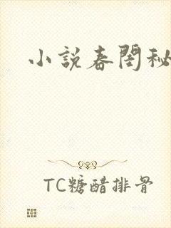 小说春闺秘史封面