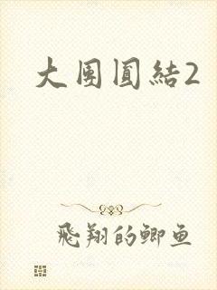 大团圆结2封面