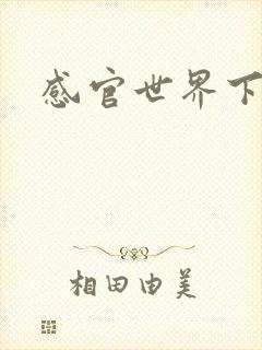 感官世界下载