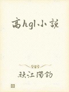 高hgl小说封面
