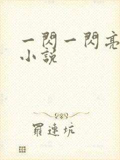 一闪一闪亮星星小说