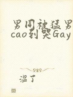 男同被猛男房东cao到哭Gay