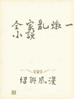 全家乱炖一锅烩小说