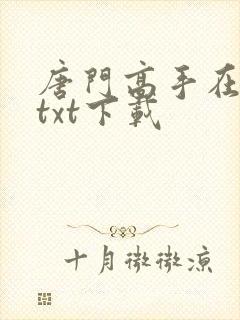 唐门高手在异世txt下载