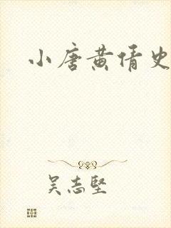 小唐黄倩史封面