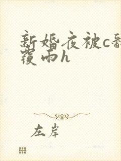 新婚夜被c翻云覆雨h封面