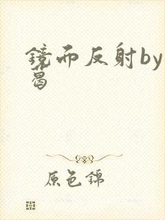 镜面反射by九葛