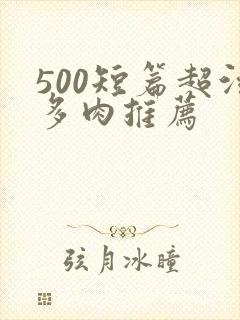 500短篇超污多肉推荐