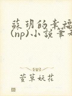 苏玥的幸福生活(np)小说笔趣阁